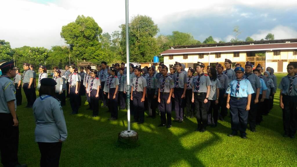 Scout World Award Discovery and WINGS