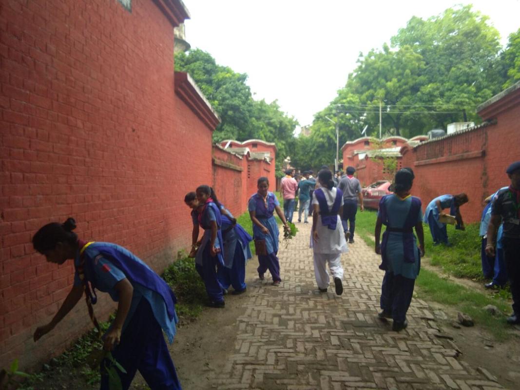 sainition program in colony