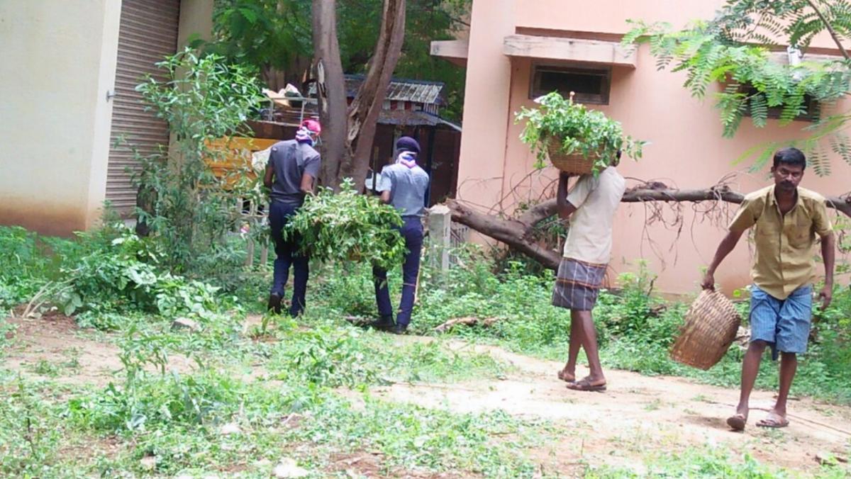 Swachta Pakhwada 