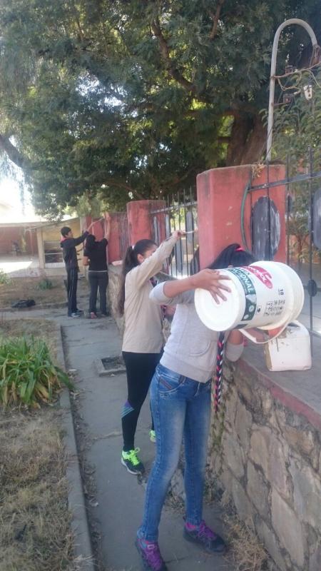 Pintando Vidas