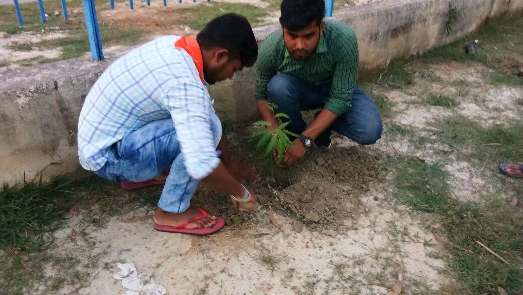 Environmental Project