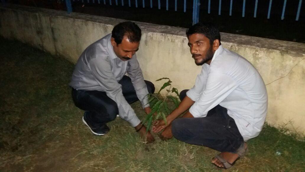 Tree Plantation on International Peace Day