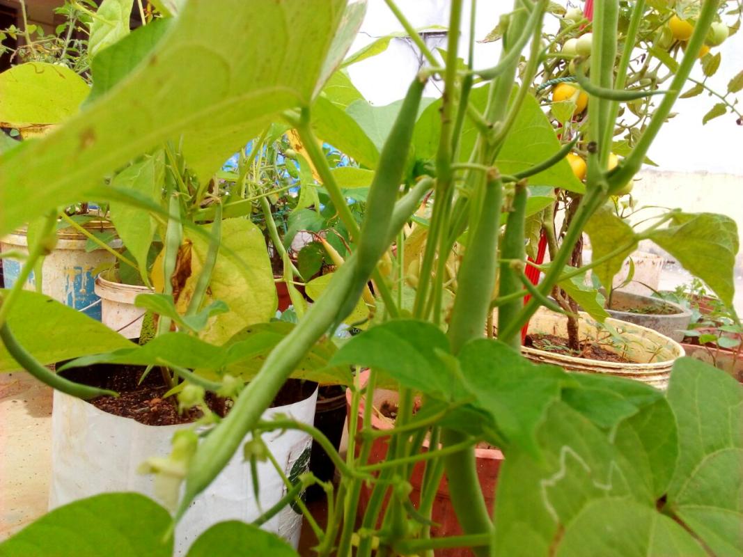 Ensure environmental stability