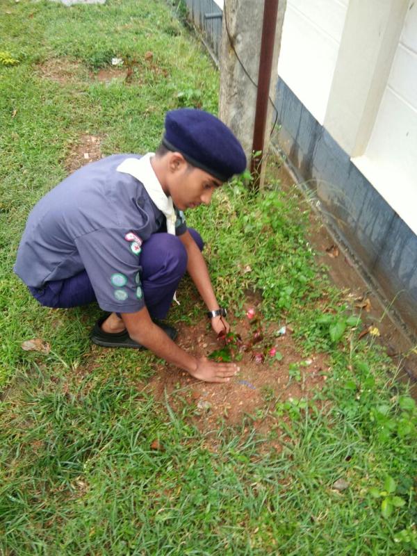 community development project for 6 months