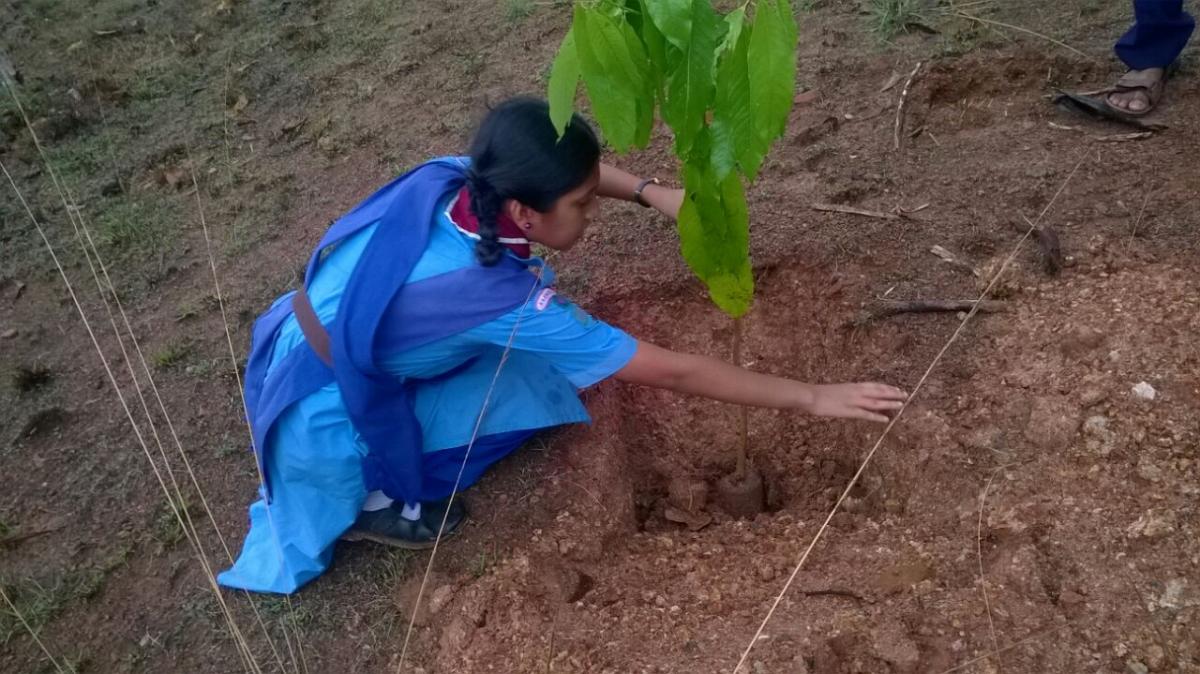 Ensure environmental sustainability 