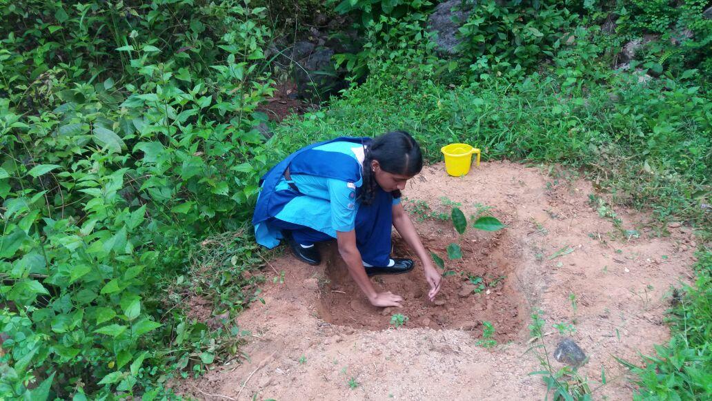 Ensure environmental sustainability 