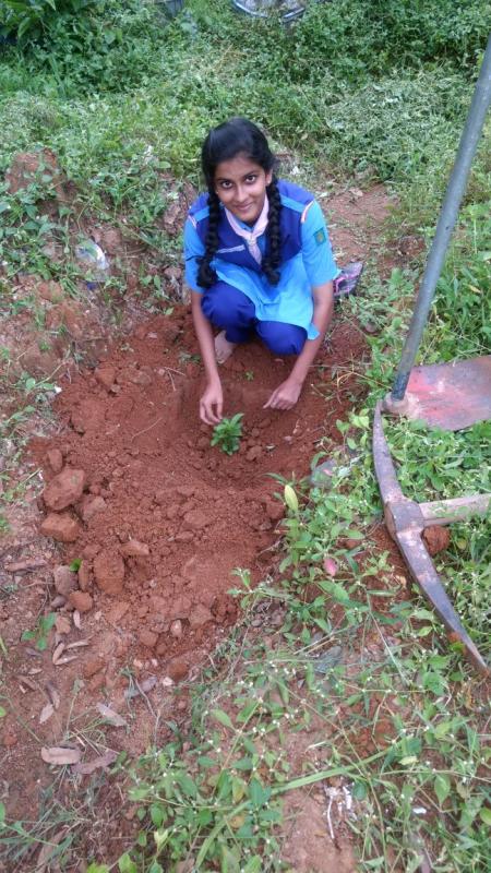 Ensure environmental sustainability 