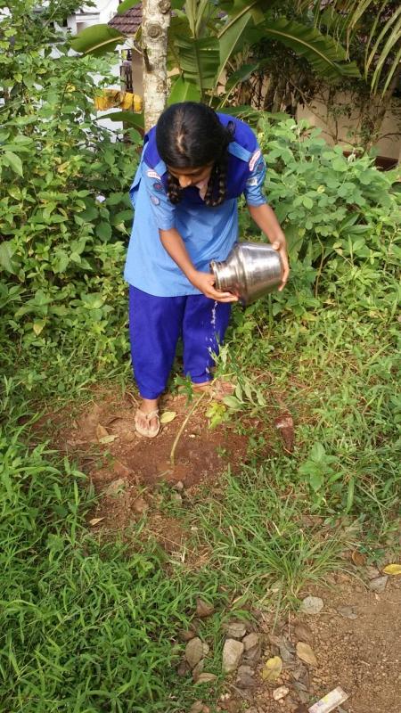 Ensure environmental sustainability 