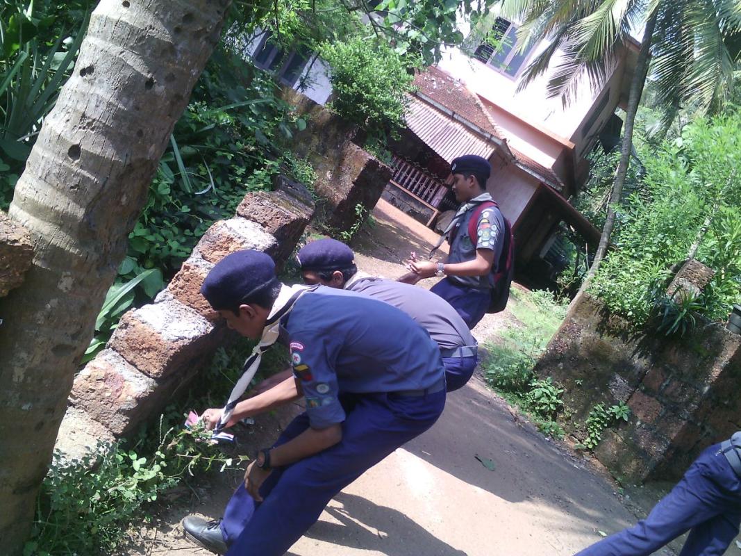 compact HIV/AIDS ,malaria and other diseases cleaning our surroundings