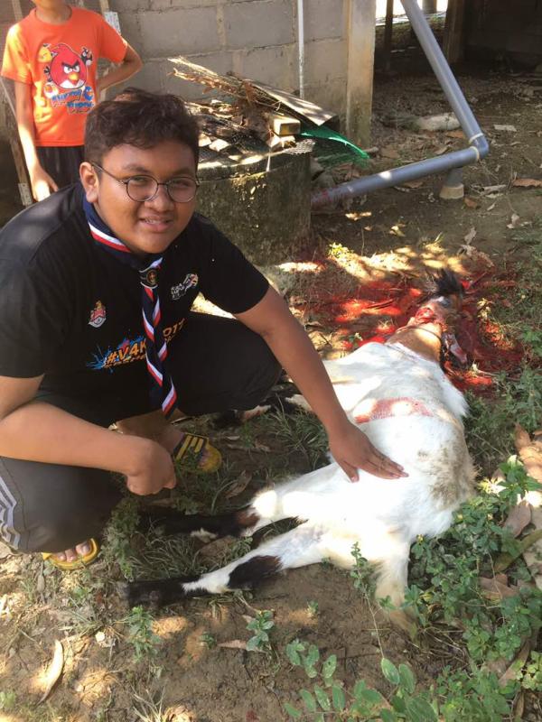 Qurban beramai-ramai 2017