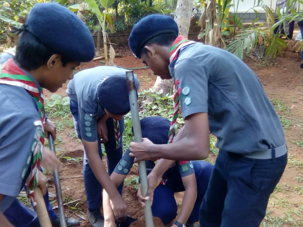 ensure environmental sustainability