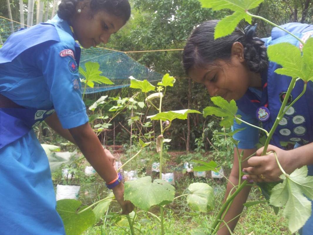 KITCHEN GARDEN