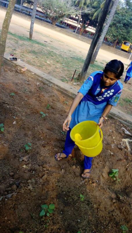 Ensure Environment Sustainability