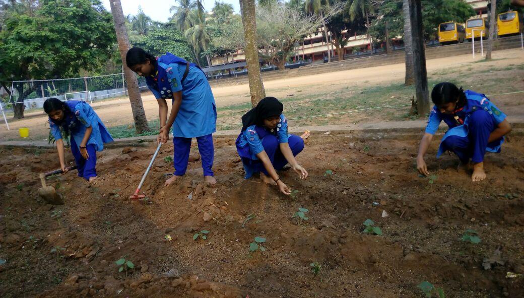 KITCHEN GARDEN 
