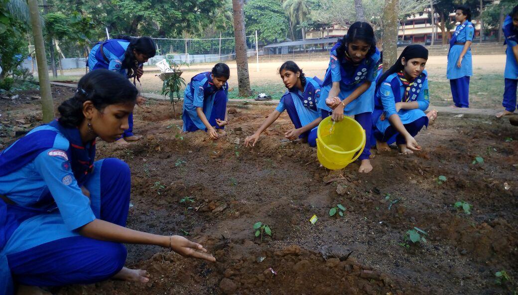 Ensure Environmental Sustainability