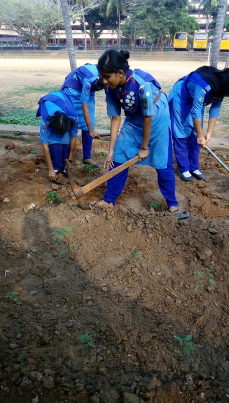 Ensure environmental sustainability 