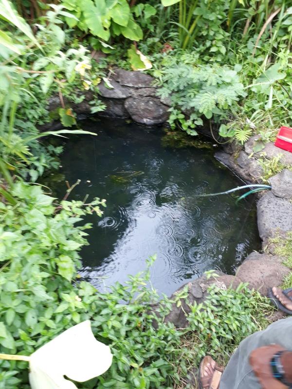 GIVE CLEAN WATER- PROJECT CONTINUATION