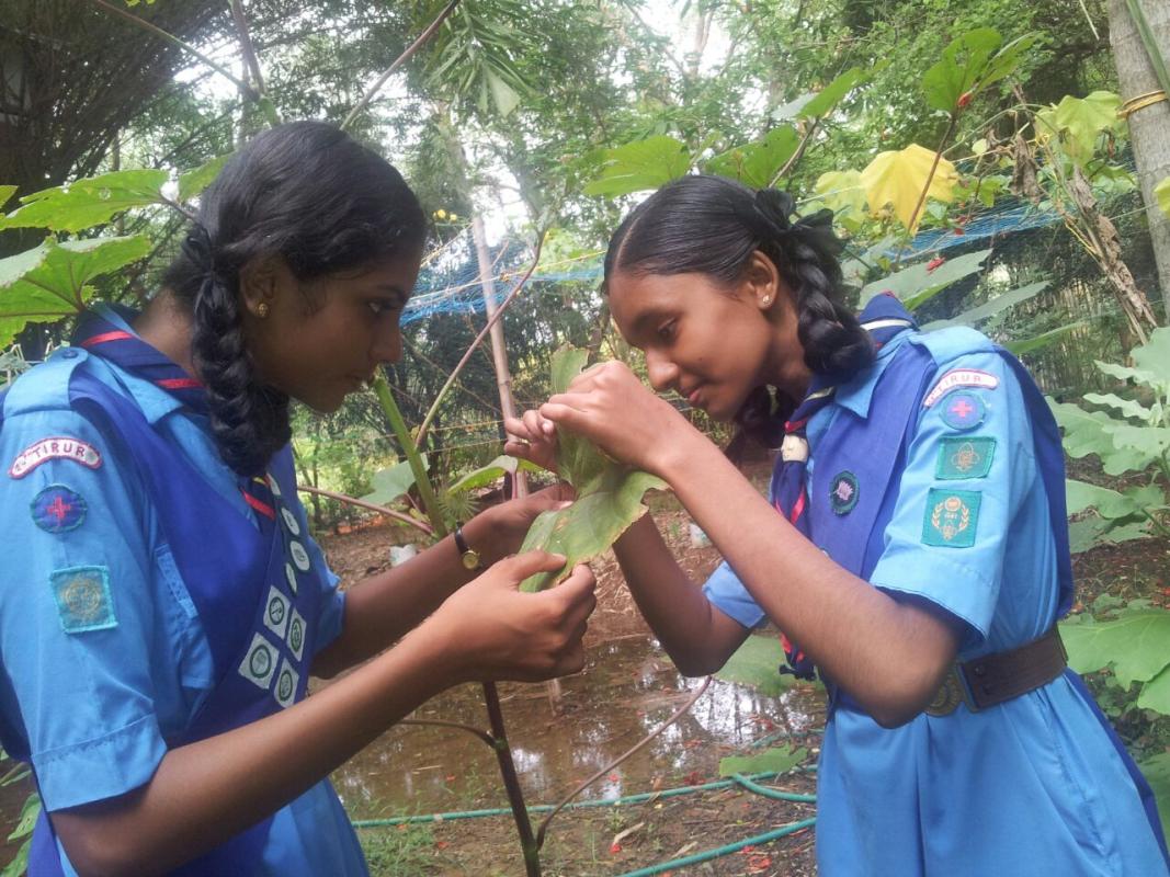ENSURE ENVIRONMENTAL SUSTAINABILITY 