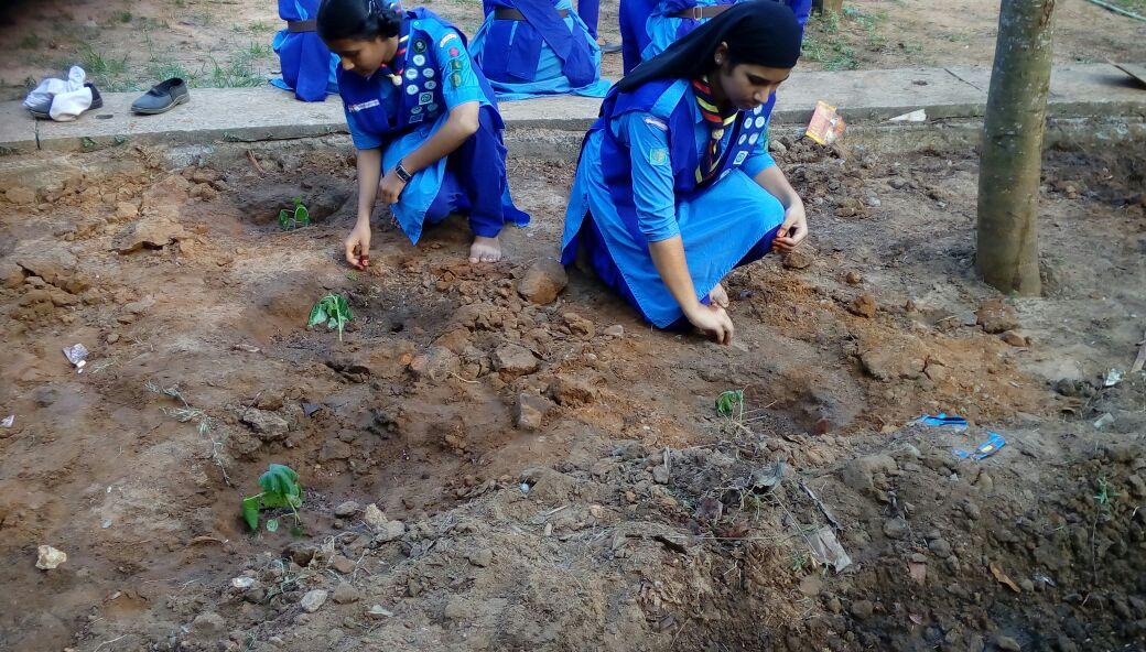 ENSURE ENVIRONMENTAL SUSTAINABILITY 