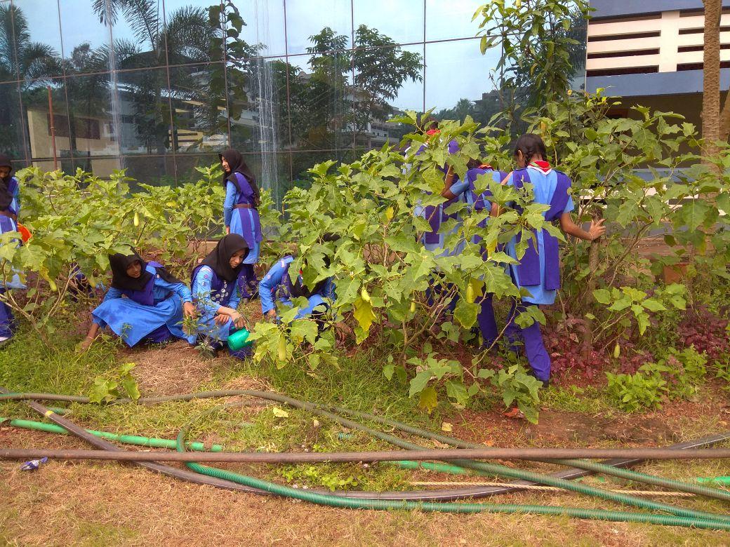 Ensure Environment sustainablity
