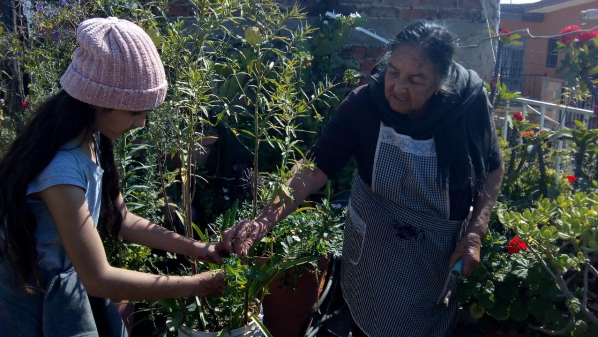 Visita Bisabuelita Tella