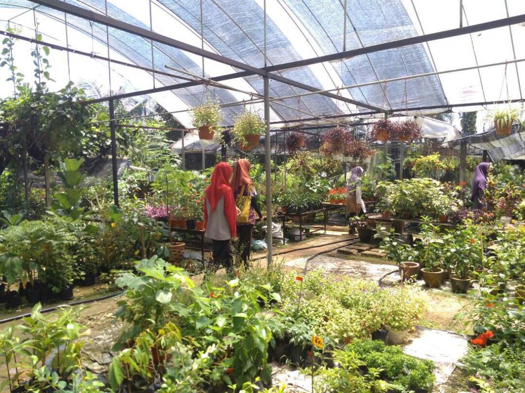 PROJEK ALAM SEKITAR