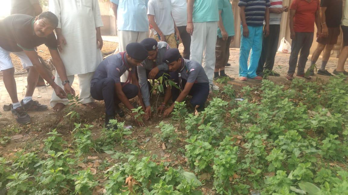 world environmental day