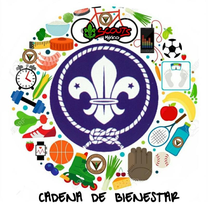  Cadena de Bienestar.