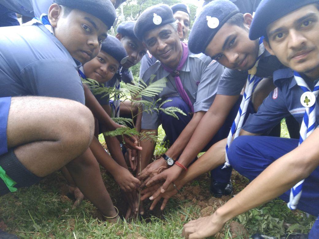 Today Tree Plantation for healthy Tomorrow