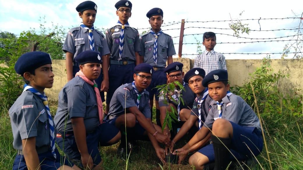 Celebrating van mahotsava or festival of trees