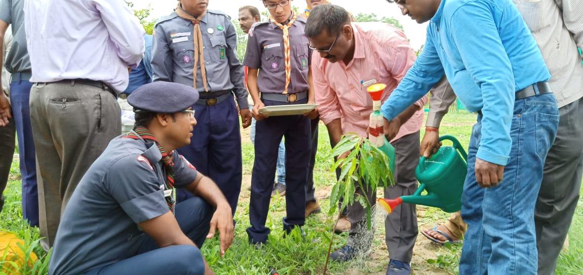 planting plants