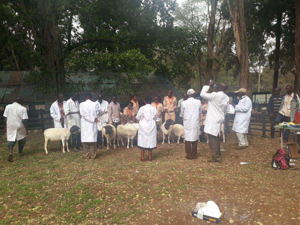 THE NAIROBI INTERNATIONAL TRADE FAIR