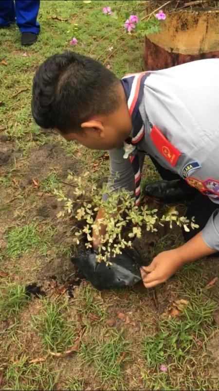 HIJAU ERTI KEDAMAIAN