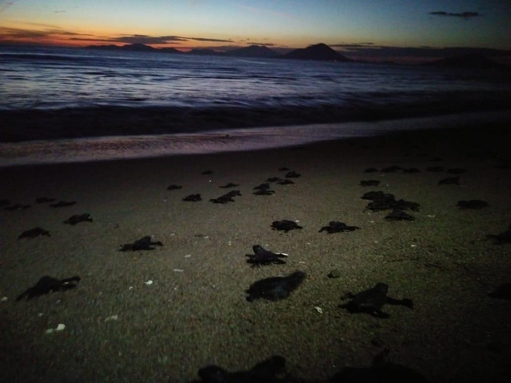 Rescatando la vida de los mares 