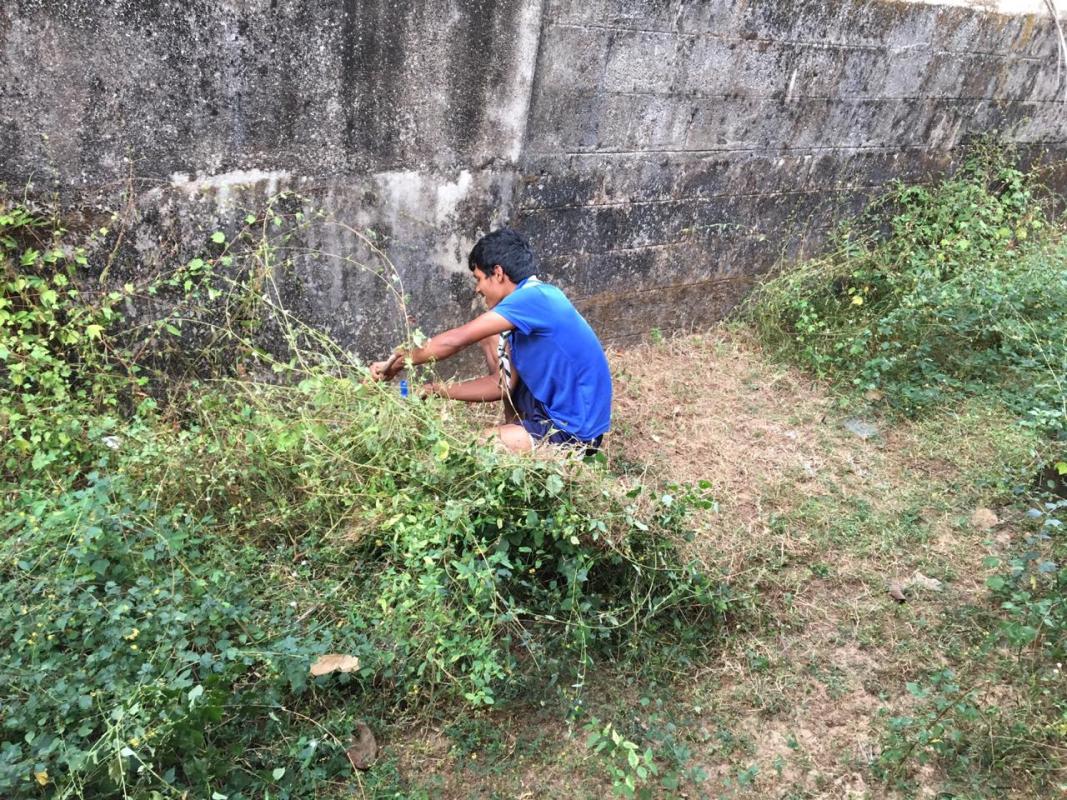 cleaning programme 