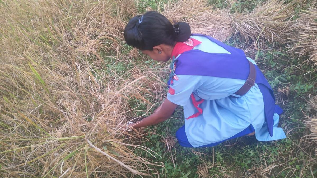 Working on the fields with farmers 