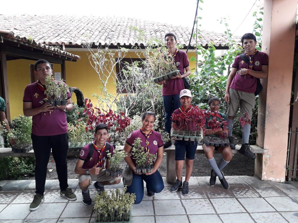  REVITALIZANDO O ESPAÇO ESCOLAR COM PLANTIO DE  MUDAS FRUTIFERAS E DECORATIVAS.