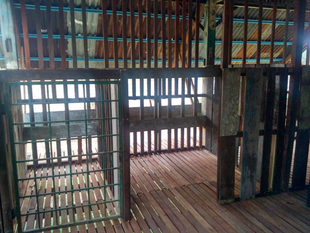 (Misa Island Goat Project: Update 17) Perbincangan Bakal Aktiviti Projek 