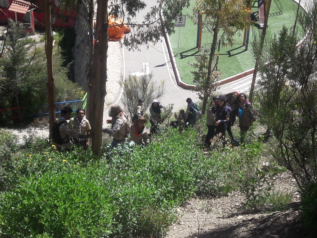 scouts en acción FORESTACIÓN potosí 