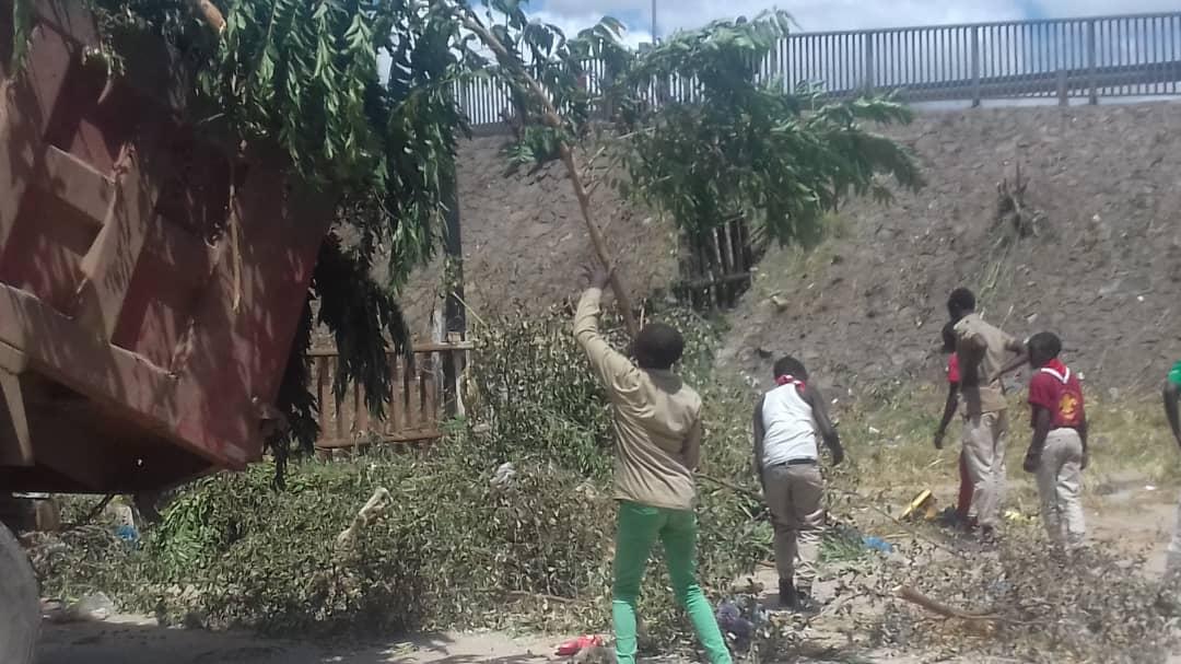 Lusaka Scouts Celebrate Youth Day in Action