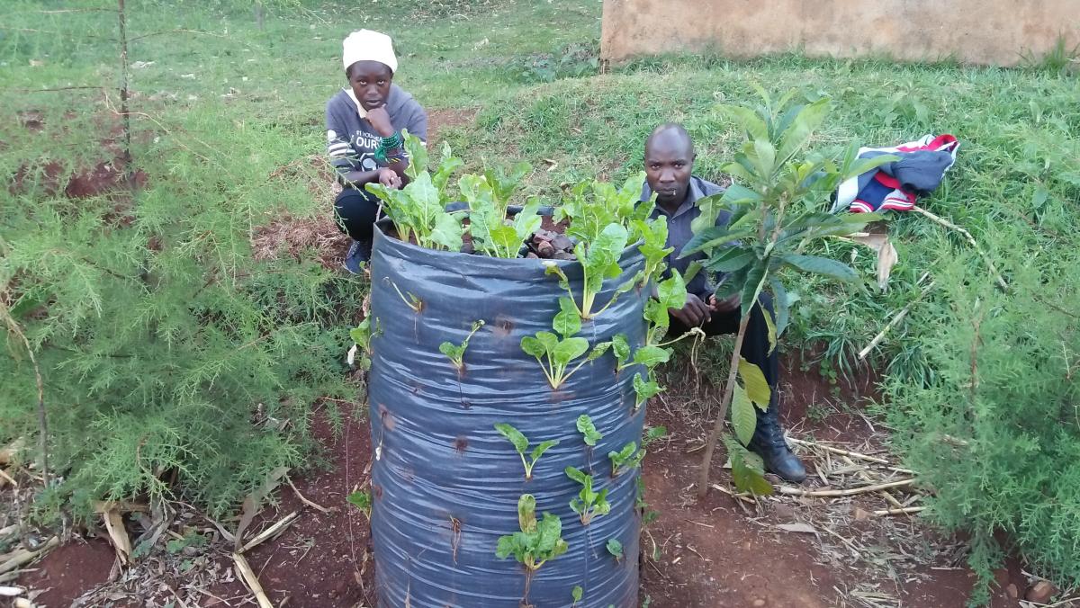 Smart Agriculture 