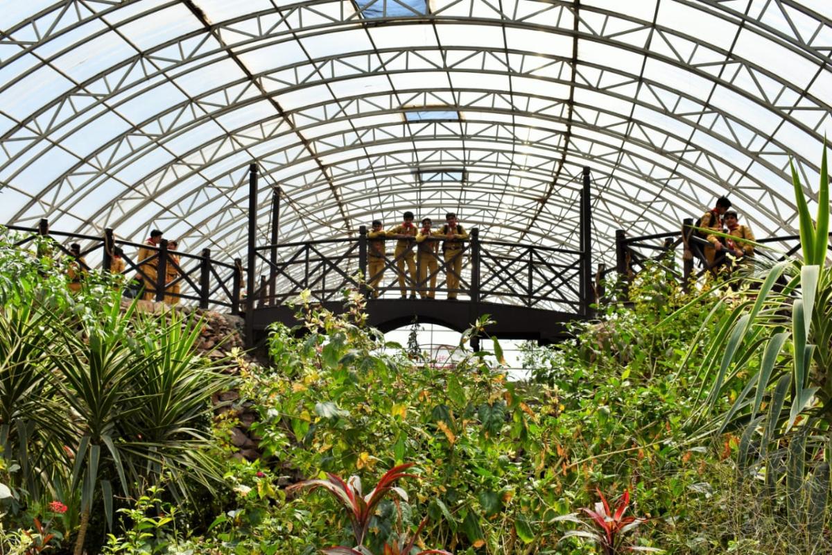 Study Tour of Botanical gardens