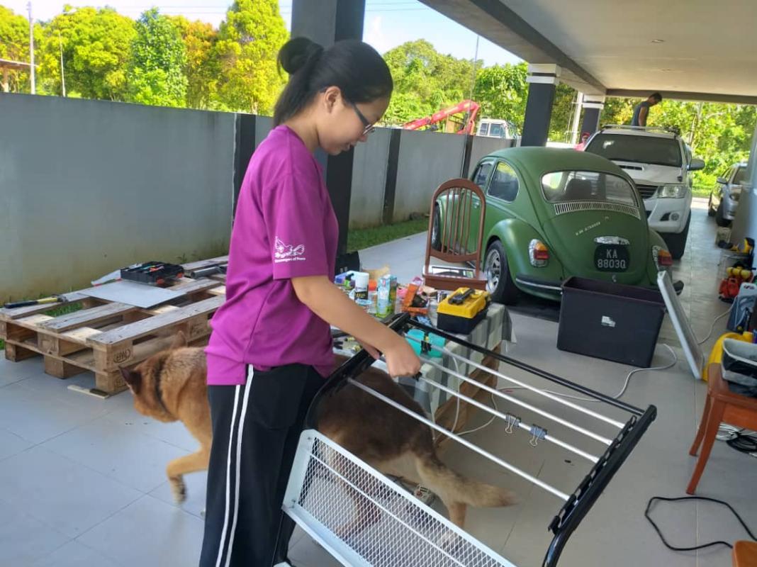 Kerja Membaiki dan Mengecat Kerusi/Rak untuk Projek BASIC