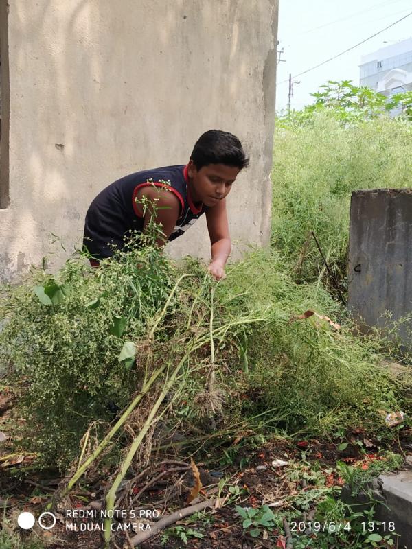 cleaning environment