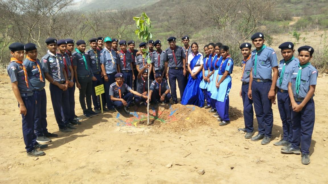 पर्यावरण दिवस पर रिजर्व क्षेत्र में पौधारोपण