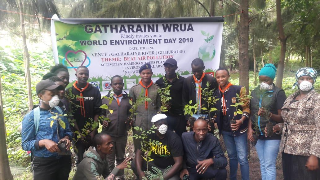 Tree Planting