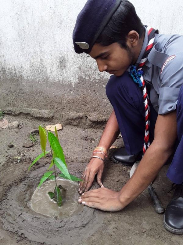 Celebration of world Environment day
