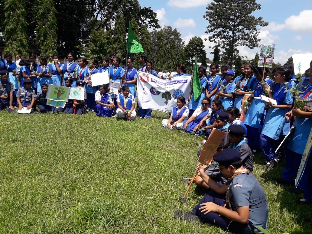  World environment Day