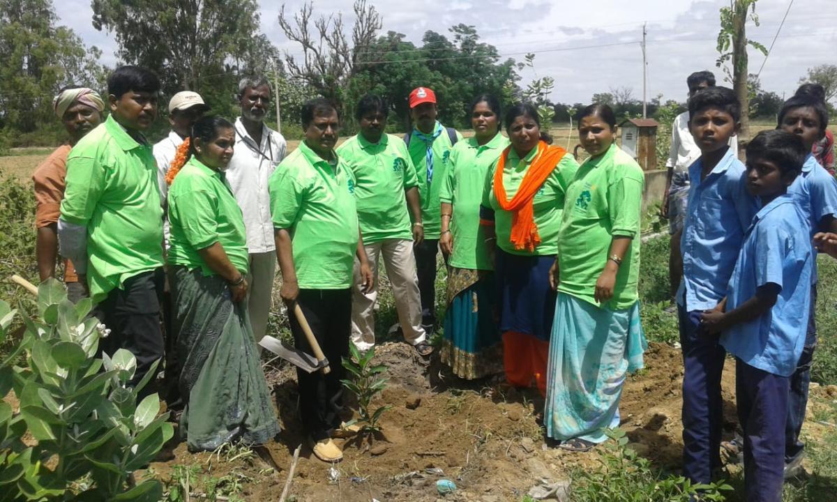 Tree planting