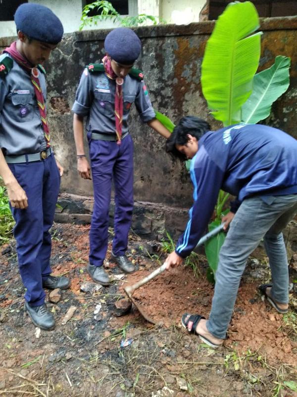 environmental day celebration